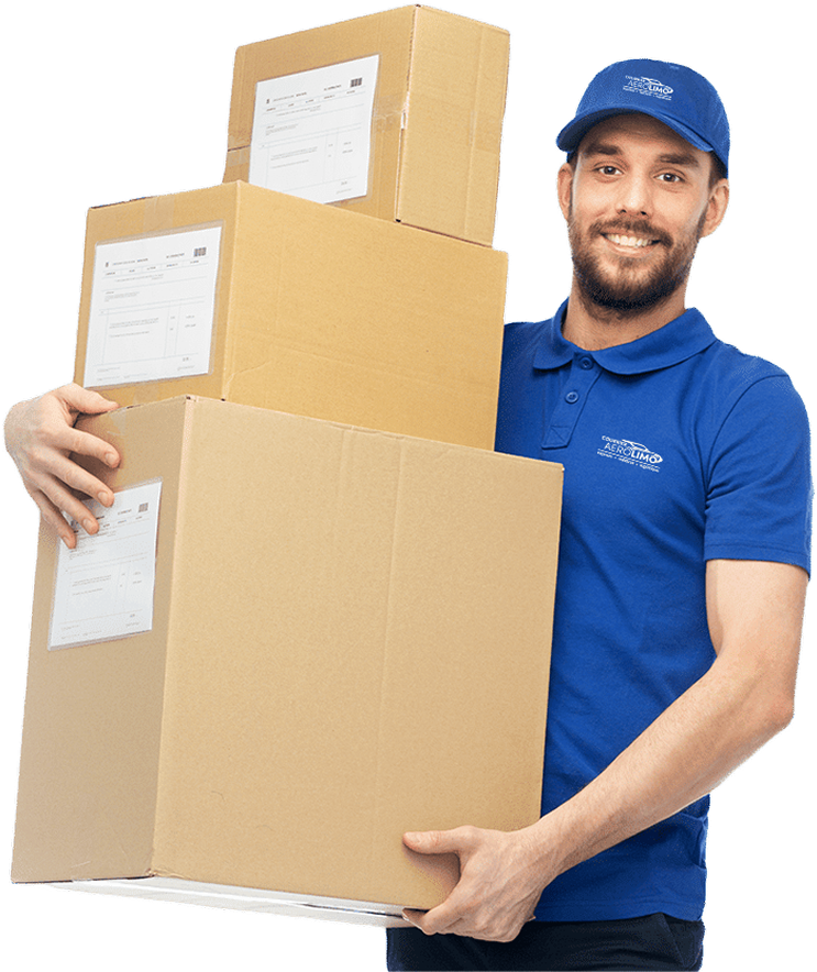 Parcel delivery person